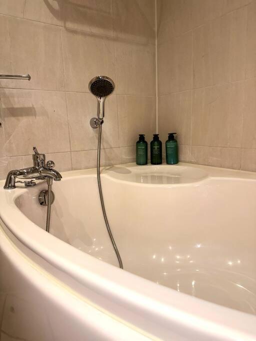 Stunning Duplex Penthouse With Shard Views Apartament
